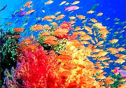 北海海城天氣預報_海城天氣預報一周7天10天15天北海海城天氣預報,海城天氣預報一周7天10天15天
