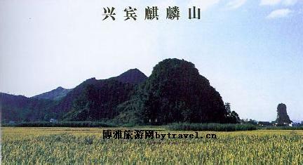 來賓興賓天氣預報_興賓天氣預報一周7天10天15天來賓興賓天氣預報,興賓天氣預報一周7天10天15天