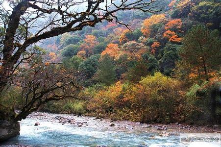 雅安寶興天氣預報_寶興天氣預報一周7天10天15天雅安寶興天氣預報,寶興天氣預報一周7天10天15天