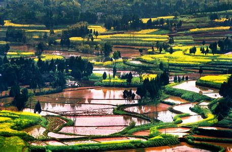 資陽安岳天氣預報_安岳天氣預報一周7天10天15天資陽安岳天氣預報,安岳天氣預報一周7天10天15天