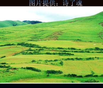 阿壩壤塘天氣預報_壤塘天氣預報一周7天10天15天阿壩壤塘天氣預報,壤塘天氣預報一周7天10天15天