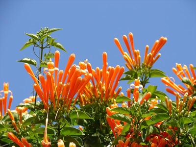 臨滄永德天氣預報_永德天氣預報一周7天10天15天臨滄永德天氣預報,永德天氣預報一周7天10天15天