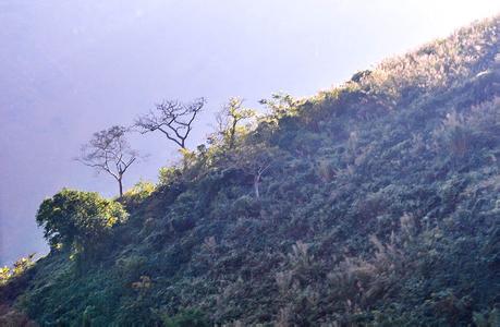 臨滄耿馬天氣預報_耿馬天氣預報一周7天10天15天臨滄耿馬天氣預報,耿馬天氣預報一周7天10天15天