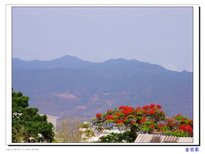 大理賓川天氣預報_賓川天氣預報一周7天10天15天大理賓川天氣預報,賓川天氣預報一周7天10天15天