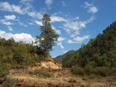 怒江蘭坪天氣預報_蘭坪天氣預報一周7天10天15天怒江蘭坪天氣預報,蘭坪天氣預報一周7天10天15天