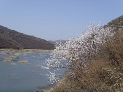 銅川印臺天氣預報_印臺天氣預報一周7天10天15天銅川印臺天氣預報,印臺天氣預報一周7天10天15天