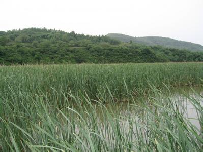 銅川宜君天氣預(yù)報(bào)_宜君天氣預(yù)報(bào)一周7天10天15天銅川宜君天氣預(yù)報(bào),宜君天氣預(yù)報(bào)一周7天10天15天