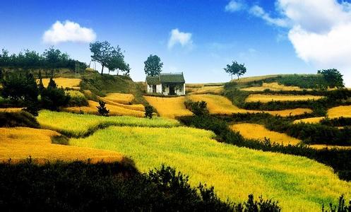 咸陽禮泉天氣預報_禮泉天氣預報一周7天10天15天咸陽禮泉天氣預報,禮泉天氣預報一周7天10天15天