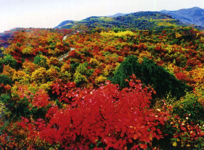 延安宜川天氣預(yù)報(bào)_宜川天氣預(yù)報(bào)一周7天10天15天延安宜川天氣預(yù)報(bào),宜川天氣預(yù)報(bào)一周7天10天15天