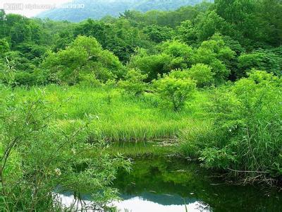 平?jīng)鲮`臺天氣預報_靈臺天氣預報一周7天10天15天平?jīng)鲮`臺天氣預報,靈臺天氣預報一周7天10天15天
