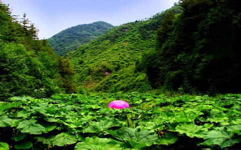 固原涇源天氣預報_涇源天氣預報一周7天10天15天固原涇源天氣預報,涇源天氣預報一周7天10天15天