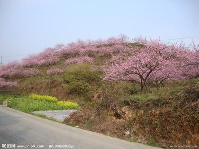 桃園桃園市天氣預(yù)報(bào)_桃園市天氣預(yù)報(bào)一周7天10天15天桃園桃園市天氣預(yù)報(bào),桃園市天氣預(yù)報(bào)一周7天10天15天