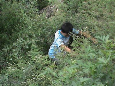 順平pm2.5實時查詢,順平縣空氣質量指數查詢
