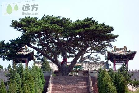 中陽pm2.5實時查詢,中陽縣空氣質量指數查詢