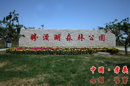 孝義pm2.5實時查詢,孝義市空氣質量指數查詢