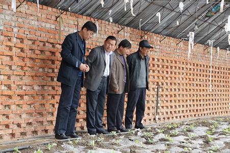 大同pm2.5實(shí)時(shí)查詢,大同區(qū)空氣質(zhì)量指數(shù)查詢