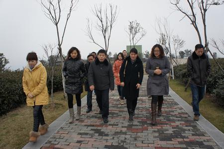 高淳pm2.5實時查詢,高淳縣空氣質量指數查詢