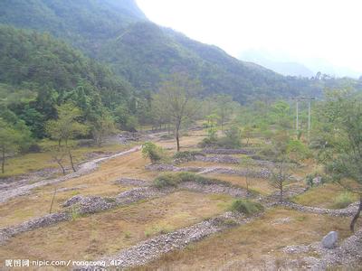 樂清pm2.5實時查詢,樂清市空氣質量指數查詢