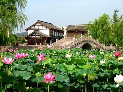 諸暨pm2.5實時查詢,諸暨市空氣質量指數查詢