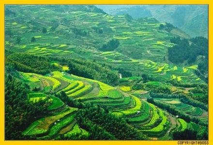 遂昌pm2.5實(shí)時(shí)查詢,遂昌縣空氣質(zhì)量指數(shù)查詢