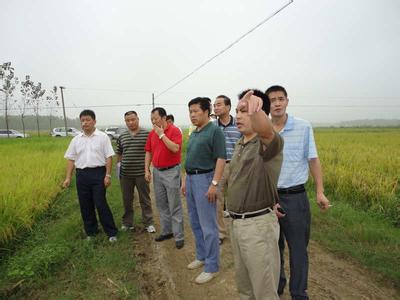 長豐pm2.5實時查詢,長豐縣空氣質量指數查詢