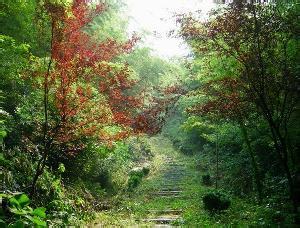 雨山pm2.5實時查詢,雨山區空氣質量指數查詢