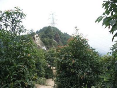 烈山pm2.5實時查詢,烈山區(qū)空氣質量指數(shù)查詢