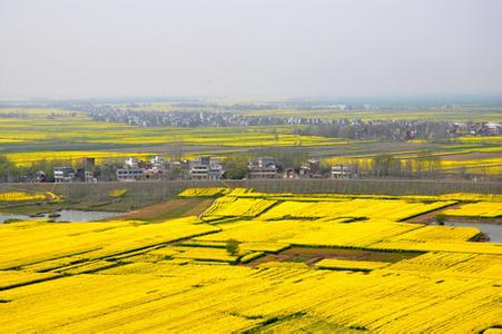 宿松pm2.5實時查詢,宿松縣空氣質量指數查詢