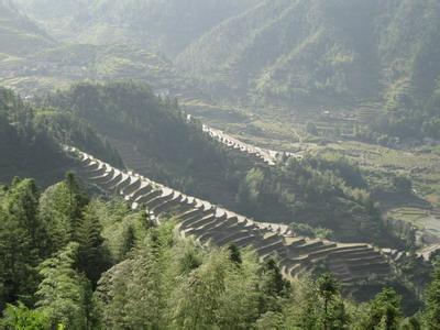 遂川pm2.5實時查詢,遂川縣空氣質(zhì)量指數(shù)查詢