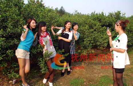 南豐pm2.5實時查詢,南豐縣空氣質量指數查詢