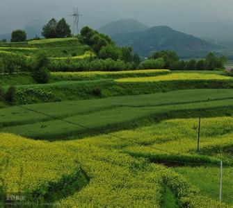 東鄉(xiāng)pm2.5實(shí)時(shí)查詢(xún),東鄉(xiāng)縣空氣質(zhì)量指數(shù)查詢(xún)