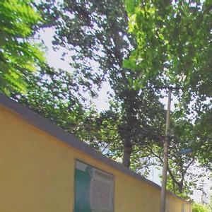 天橋pm2.5實時查詢,天橋區空氣質量指數查詢