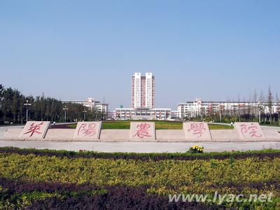 萊陽pm2.5實時查詢,萊陽市空氣質量指數查詢