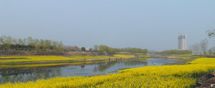 新野pm2.5實時查詢,新野縣空氣質量指數查詢