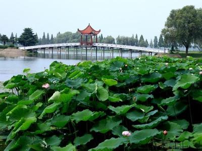 洪湖pm2.5實時查詢,洪湖市空氣質量指數查詢