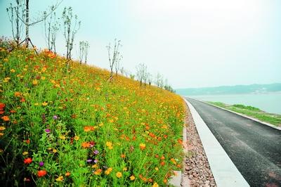 株洲pm2.5實時查詢,株洲市空氣質量指數查詢