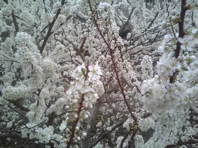 陸河pm2.5實(shí)時(shí)查詢,陸河縣空氣質(zhì)量指數(shù)查詢