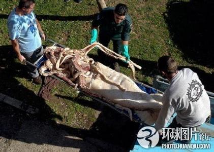 永福pm2.5實時查詢,永福縣空氣質量指數查詢