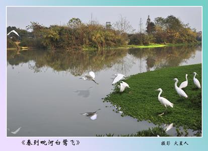 新都pm2.5實(shí)時查詢,新都區(qū)空氣質(zhì)量指數(shù)查詢