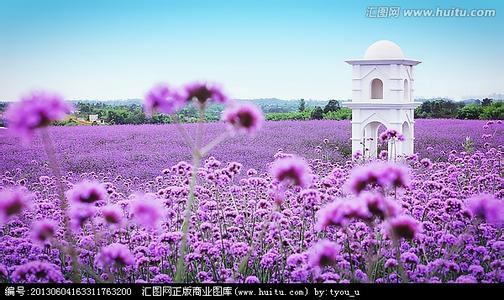 雙流pm2.5實時查詢,雙流縣空氣質量指數查詢