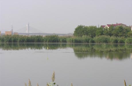 永寧pm2.5實時查詢,永寧縣空氣質量指數查詢