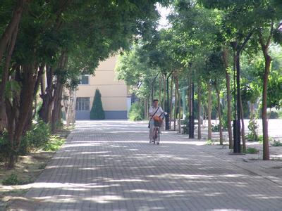 賀蘭pm2.5實(shí)時(shí)查詢,賀蘭縣空氣質(zhì)量指數(shù)查詢