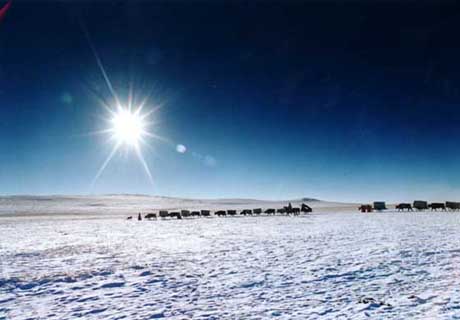 阿魯科爾沁旗天氣預報15天查詢