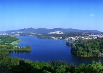 白云天氣預報15天查詢