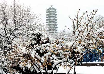蒼山天氣預報15天查詢
