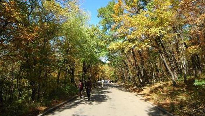昌邑天氣預(yù)報15天查詢