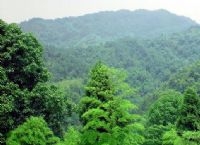 城關天氣預報15天查詢