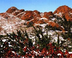 紅山天氣預(yù)報(bào)15天查詢