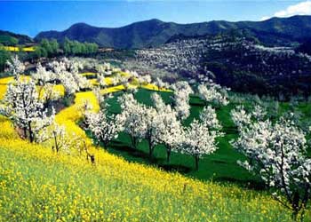 淳化天氣預報15天查詢