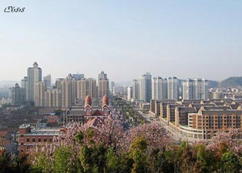 慈溪天氣預報15天查詢